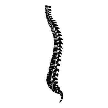 350x350 You Searched For Human Spine Icon Simple Illustration Of Human