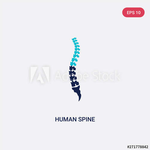 500x500 Two Color Human Spine Vector Icon From Human Body Parts Concept