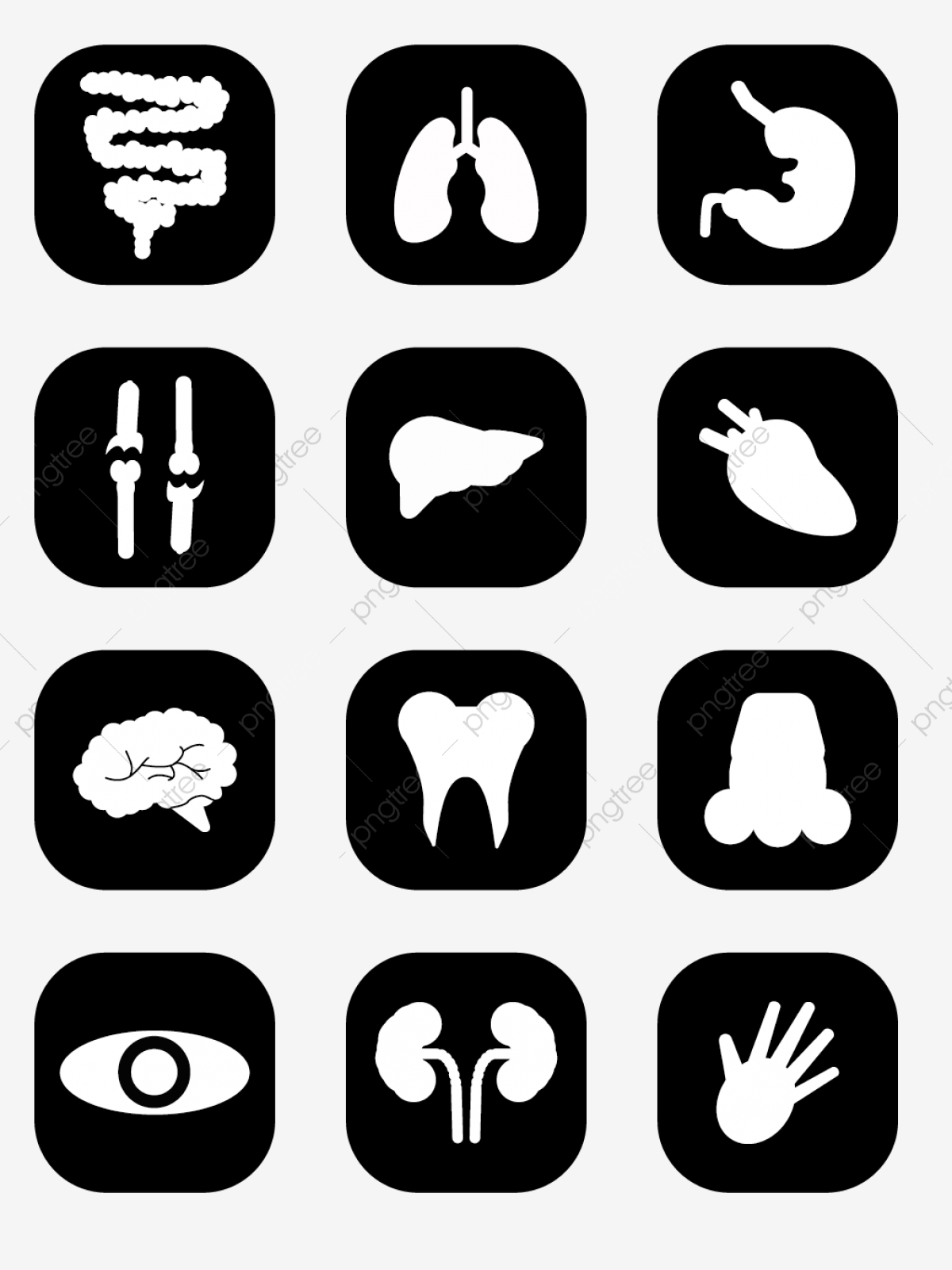 1200x1601 Human Organs Icon Simple Black And White Commercial Elements