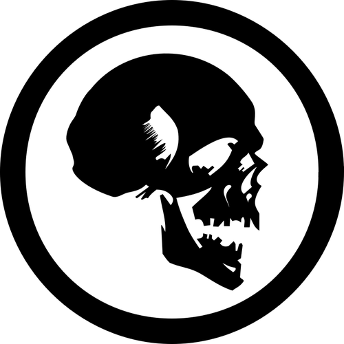 500x500 Human Skull Symbol Vector Image