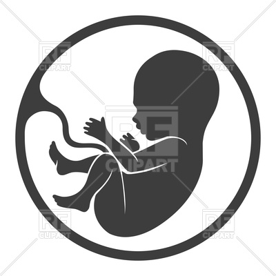 400x400 Fetus Icon, Prenatal Human Child With Placenta Vector Image