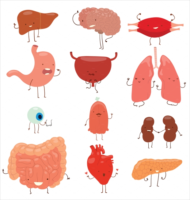 620x652 Human Vectors