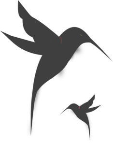 Hummingbird Silhouette Vector