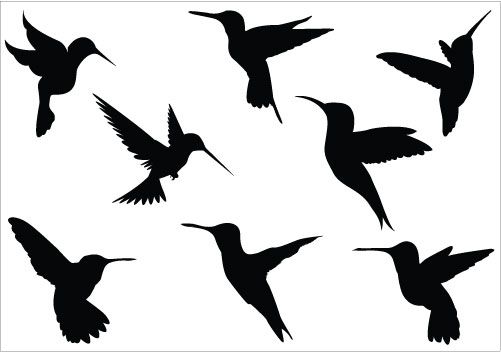501x352 Hummingbird Silhouette Images Hummingbird Vector Clipart