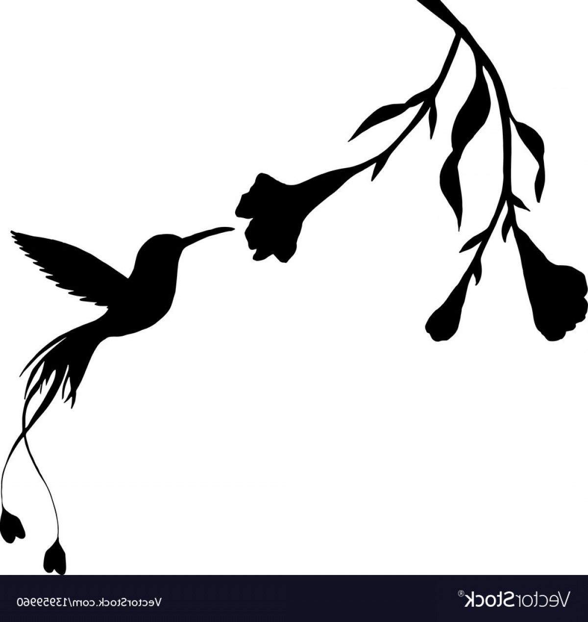 Free Free 83 Silhouette Hummingbird Svg Free SVG PNG EPS DXF File