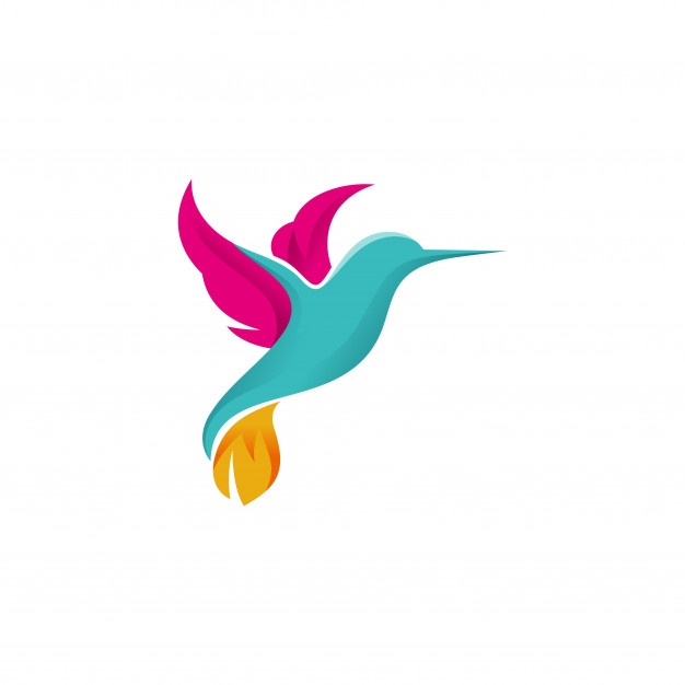 626x626 Hummingbird Vectors, Photos And Free Download
