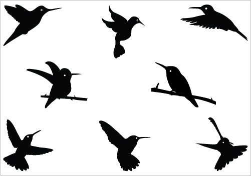 501x352 Hummingbird Silhouette Vector