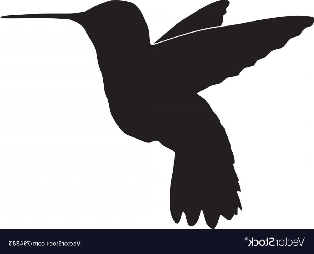 1200x968 Black Silhouette Of Hummingbird Vector Cqrecords