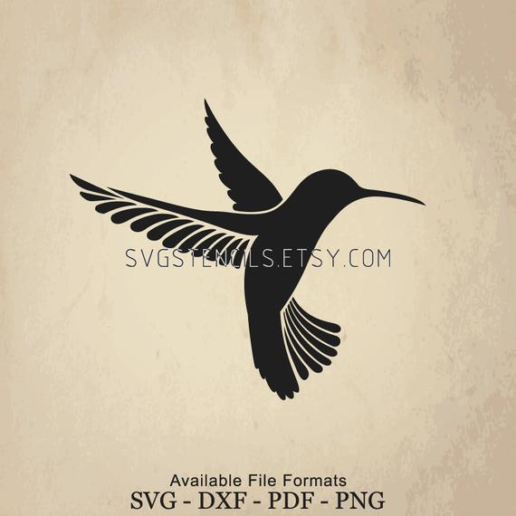 Hummingbird Silhouette Vector at Vectorified.com | Collection of ...