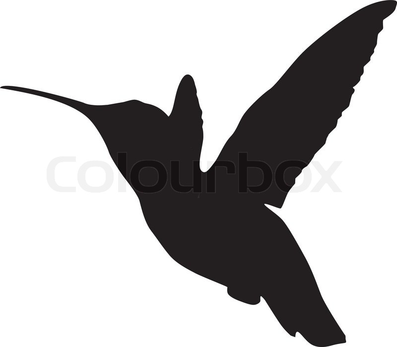 800x699 Silhouette Of A Hummingbird Stock Vector Colourbox