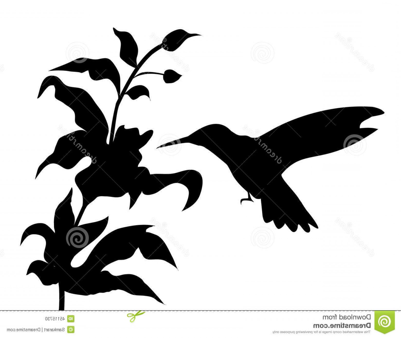 1560x1316 Stock Illustration Hummingbird Flowers Silhouette Vector