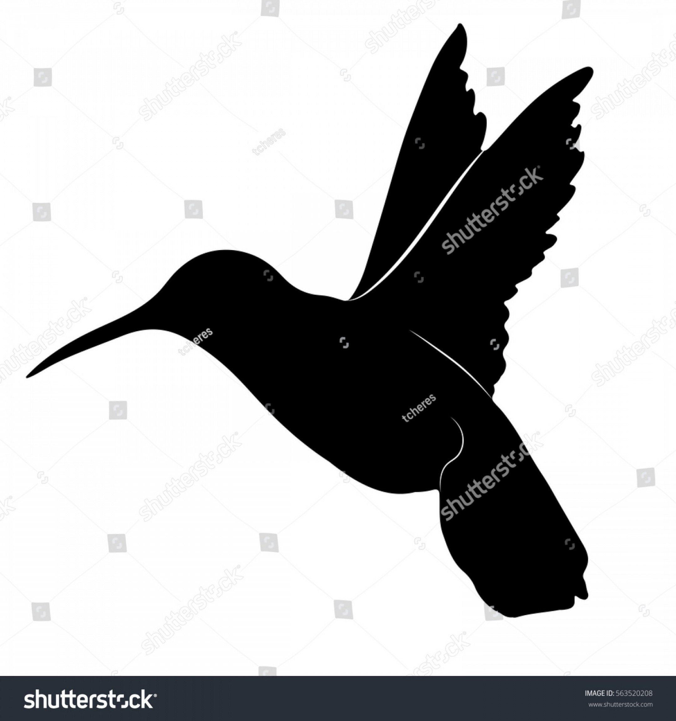 Hummingbird Silhouette Vector at Vectorified.com | Collection of ...