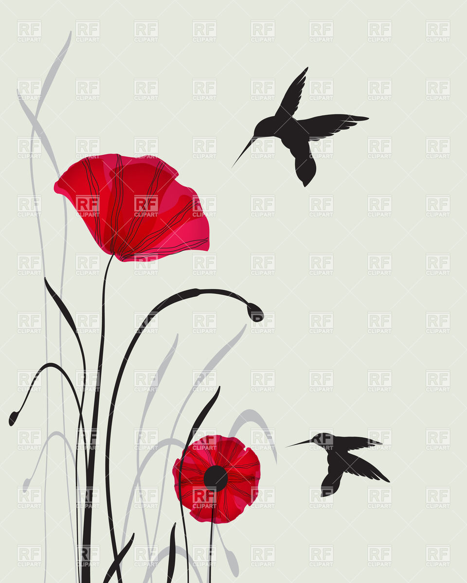 960x1200 Two Hummingbird Silhouettes And Red Hand Drawn Poppies Vector