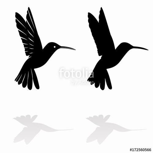 500x500 Hummingbird Silhouette, Vector Draw Stock Image And Royalty Free