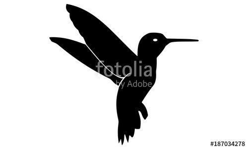 500x300 Silhouette Of The Hummingbird Fly Stock Image And Royalty Free