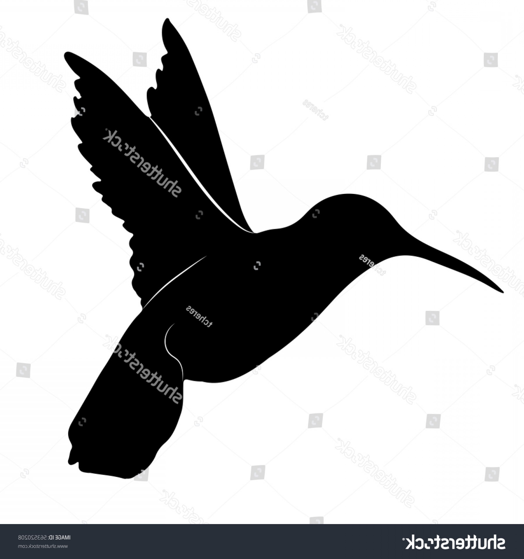 Hummingbird Silhouette Vector at Vectorified.com | Collection of ...