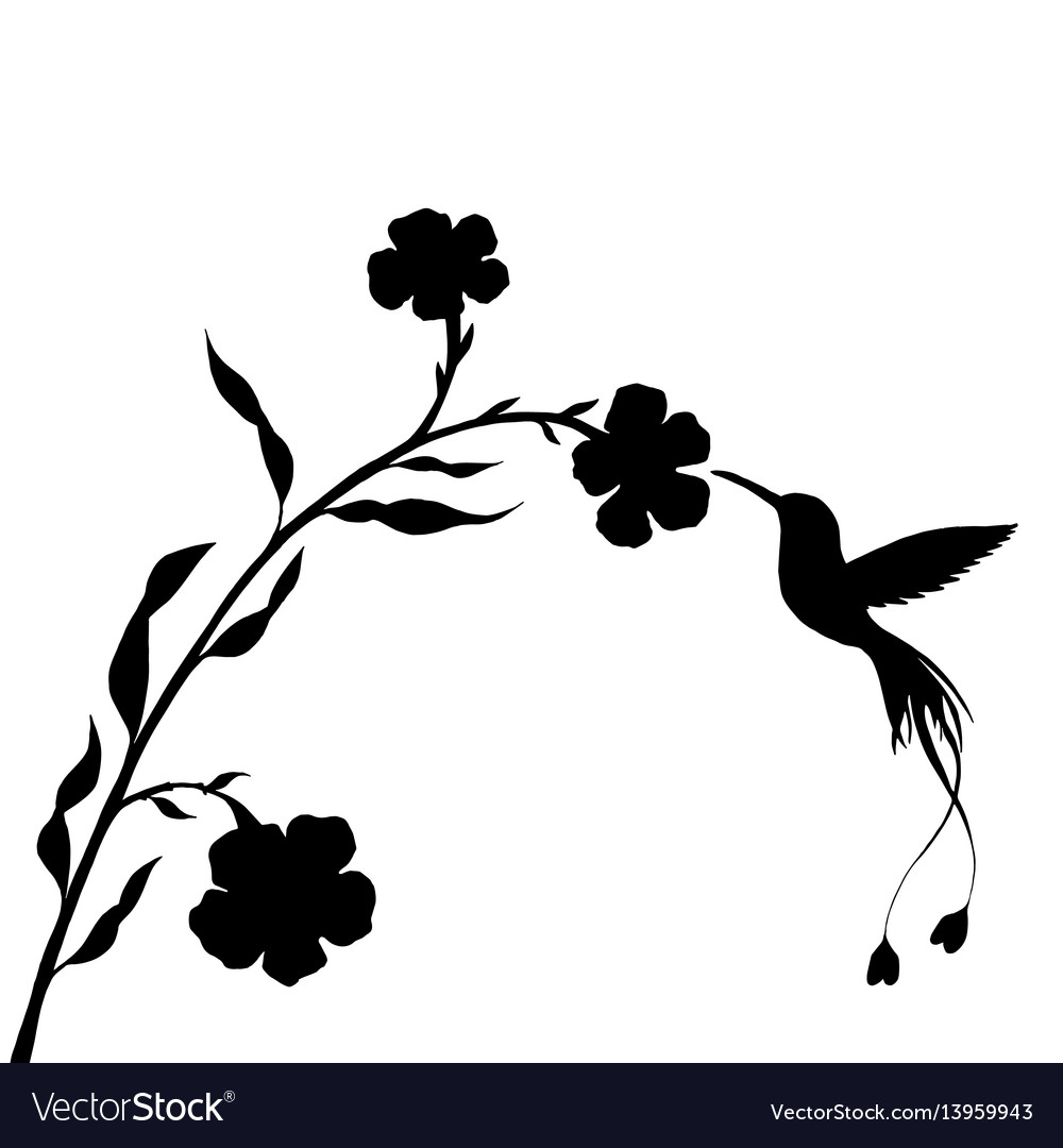 1000x1080 Hummingbird And Flower Silhouette