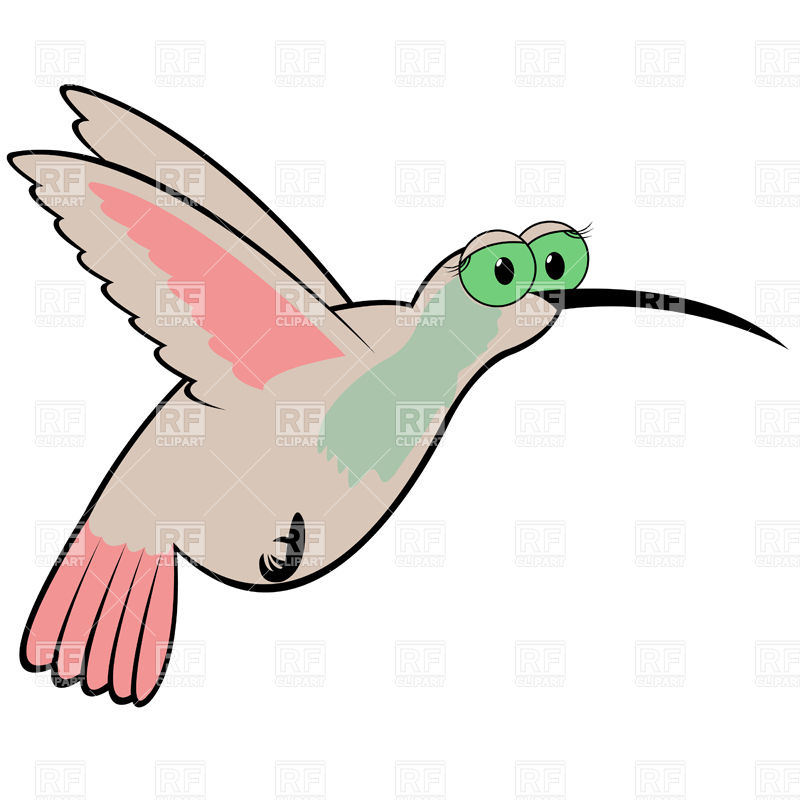 800x800 Funny Hummingbird Vector Image Of Plants And Animals Natareal