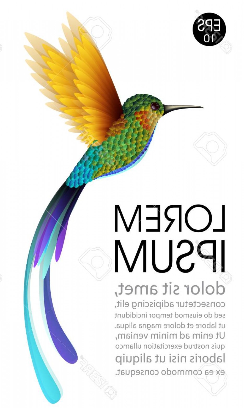 934x1560 Hummingbird Vector Handandbeak