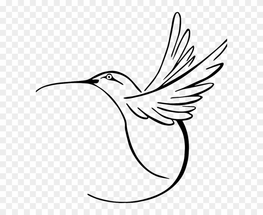 880x720 Hummingbird Vector Clipart