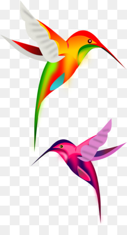 Free Free 110 Vector Hummingbird Svg Free SVG PNG EPS DXF File