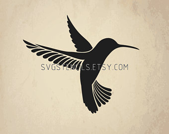 340x270 Hummingbird Vector Etsy