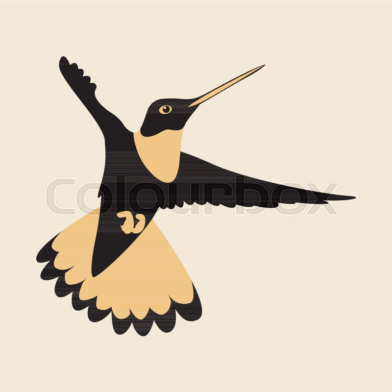 800x800 Hummingbird Vector Illustration Flat Stock Vector Colourbox