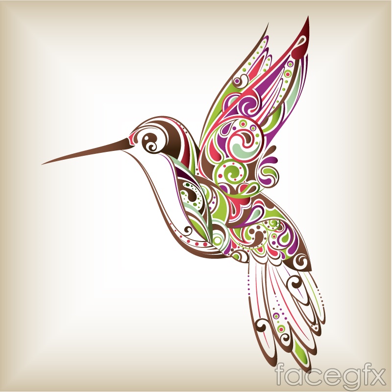 800x800 Patterns Hummingbird Vector Over Millions Vectors, Stock Photos