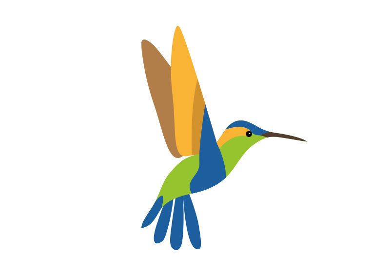 800x566 Flat Vectors Hummingbird, Vector