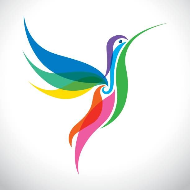 612x612 Stylized Colorful Hummingbird Vector Art Illustration