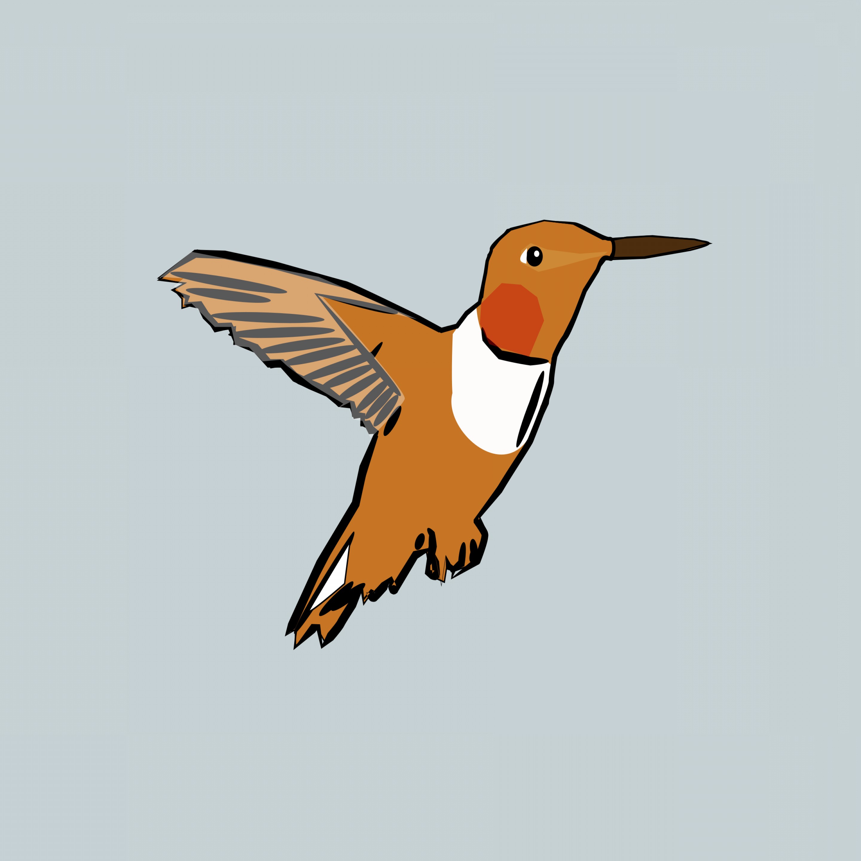 2880x2880 Brown And White Hummingbird Vector Clipart Handandbeak