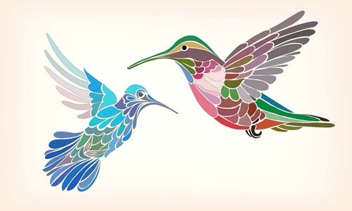 500x300 Floral Pattern Hummingbird Vector Free Download