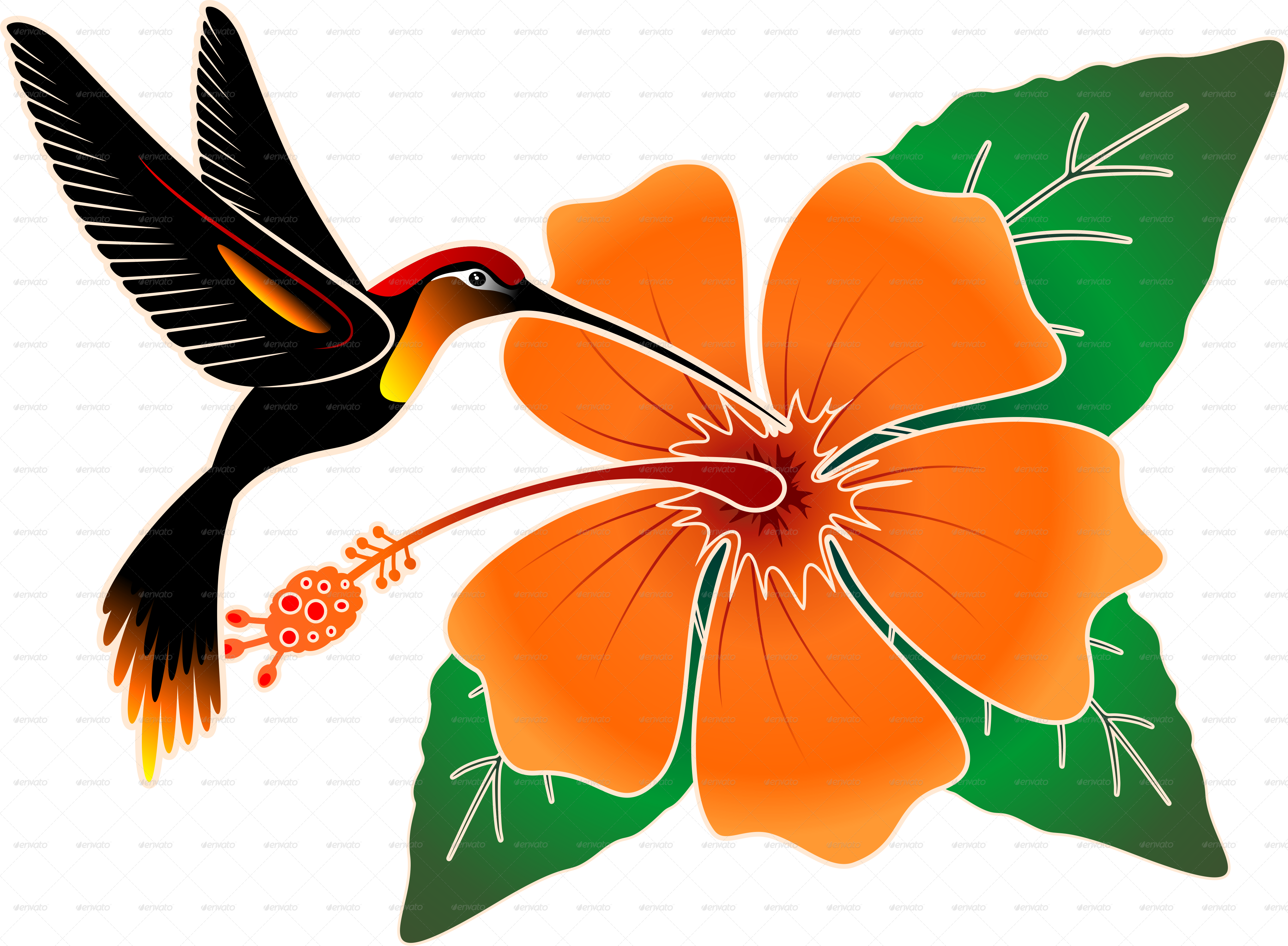 Hibiscus Clipart Hummingbird 4077x2995 Hibiscus Clipart Hummingbird