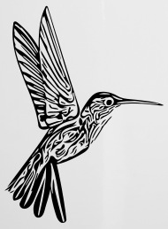 Hummingbird 190x259 Hummingbird