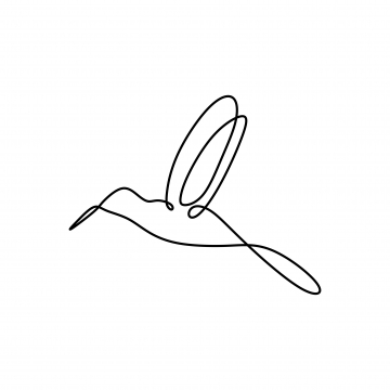 Hummingbird Vector, Free Download Hummingbirds, Hummingbird 360x360 Hummingbird Vector, Free Download Hummingbirds, Hummingbird