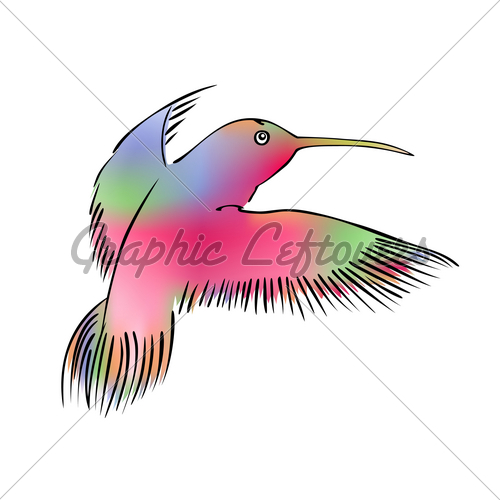 Hummingbird Vector Gl Stock Images 500x500 Hummingbird Vector Gl Stock Images
