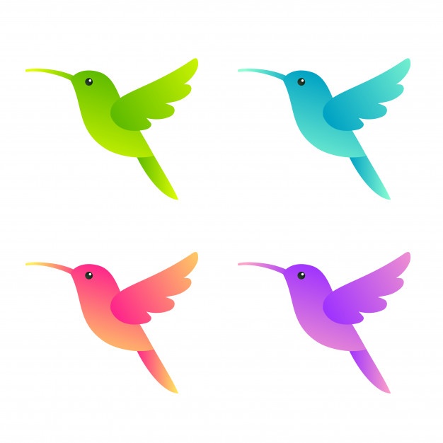 Hummingbird Vectors, Photos And Free Download 626x626 Hummingbird Vectors, Photos And Free Download