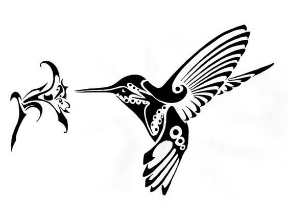 Hummingbird And Flower Vector Art Graphic Design Vector 564x425 Hummingbird And Flower Vector Art Graphic Design Vector
