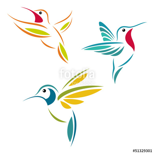 Hummingbirds Stock Image And Royalty Free Vector On Fotolia 500x498 Hummingbirds Stock Image And Royalty Free Vector On Fotolia