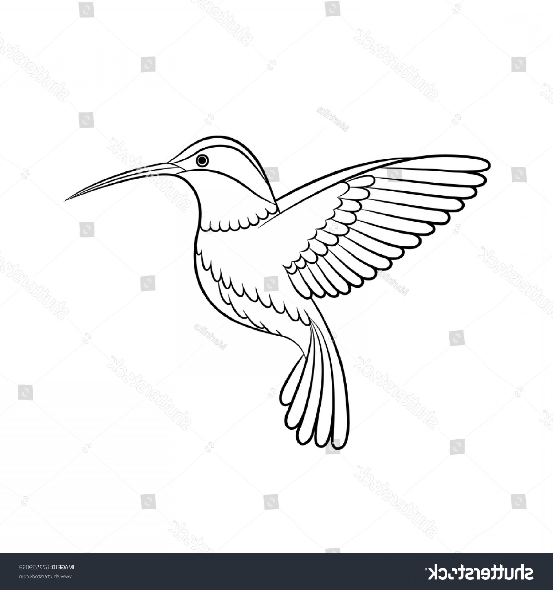 Outline Drawing Hummingbird Vector Isolated Handandbeak 1800x1920 Outline Drawing Hummingbird Vector Isolated Handandbeak