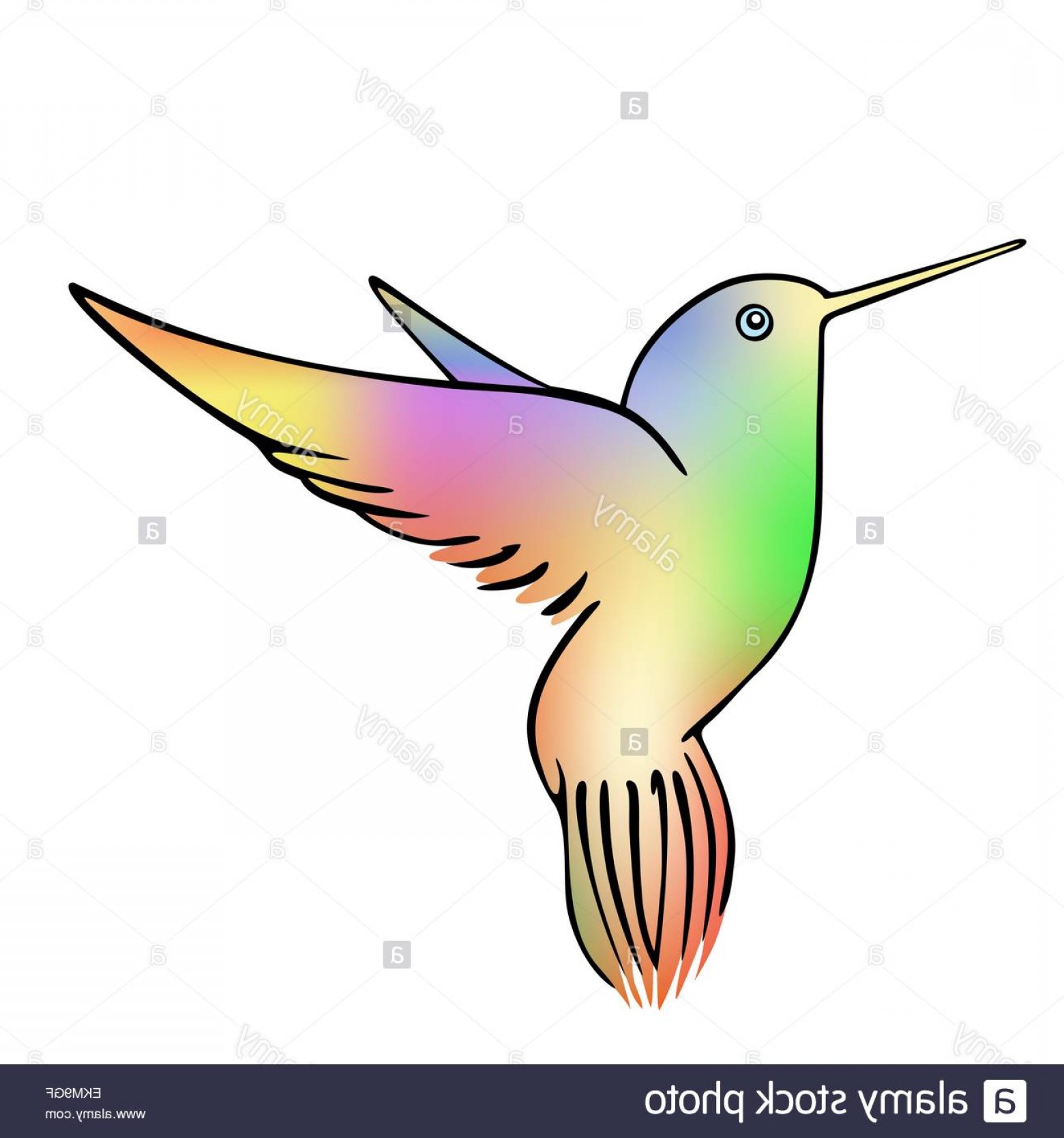 Stock Photo Illustration Of The Hummingbird Vector Handandbeak 1560x1668 Stock Photo Illustration Of The Hummingbird Vector Handandbeak
