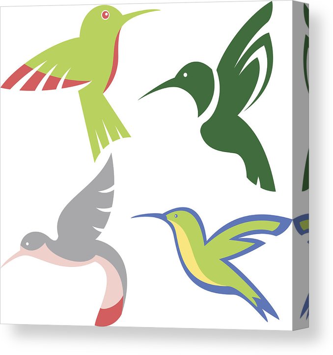 Stylized Hummingbirds Vector Set Canvas Print Canvas Art 678x724 Stylized Hummingbirds Vector Set Canvas Print Canvas Art