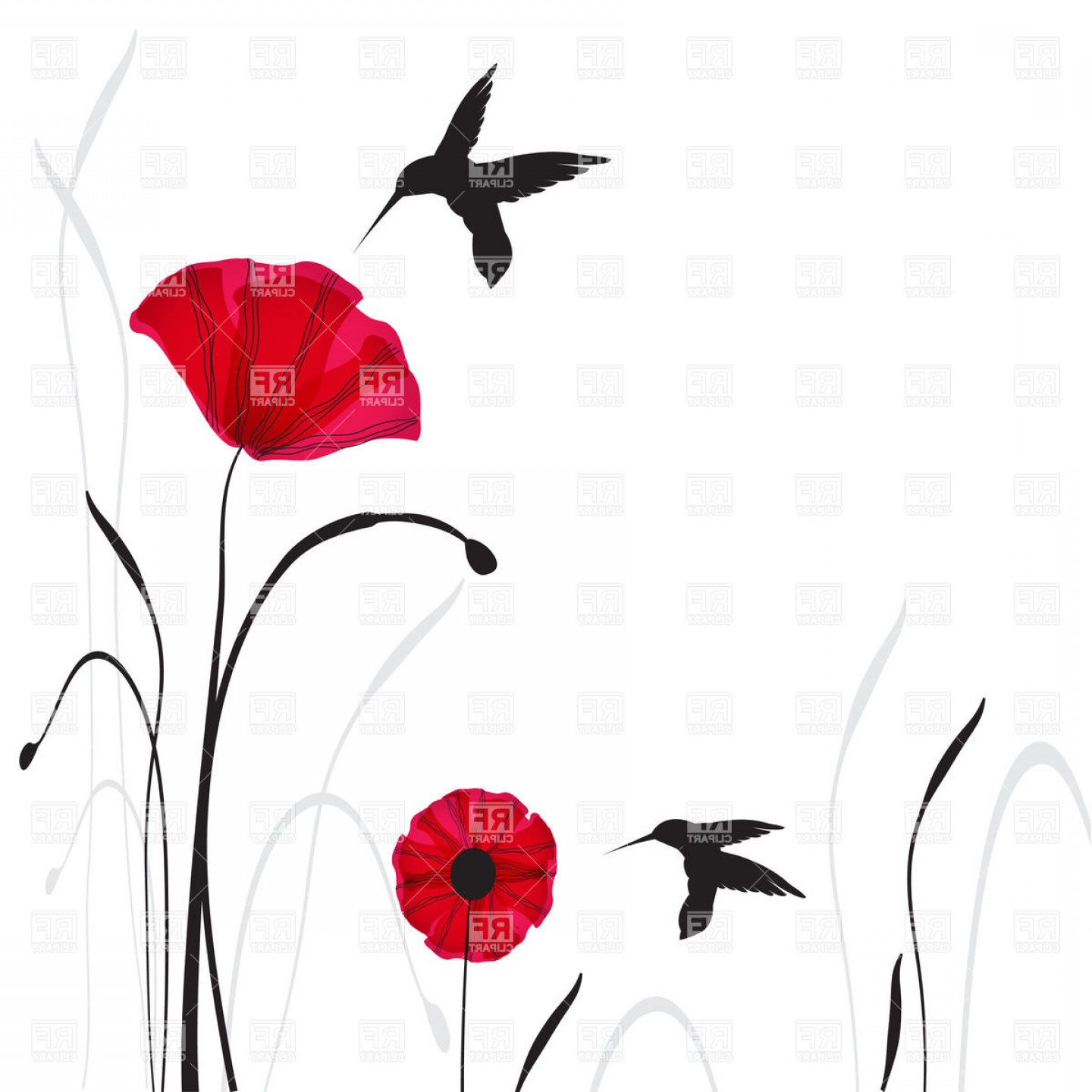 Two Poppies And Silhouettes Of Flying Hummingbirds Vector Clipart 1440x1440 Two Poppies And Silhouettes Of Flying Hummingbirds Vector Clipart