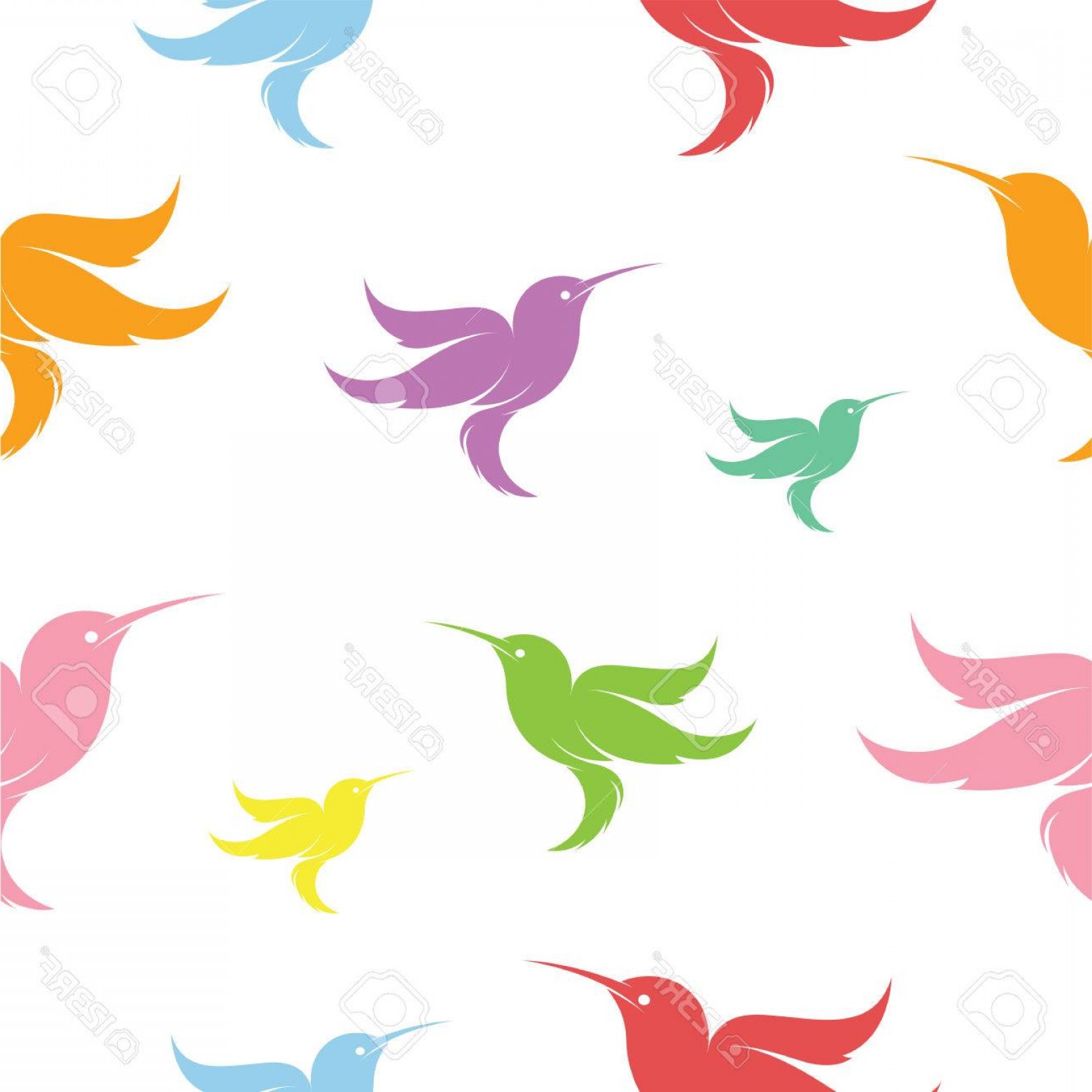 Ummingbird Decrotive Vector Hoodamathrun 1560x1560 Ummingbird Decrotive Vector Hoodamathrun