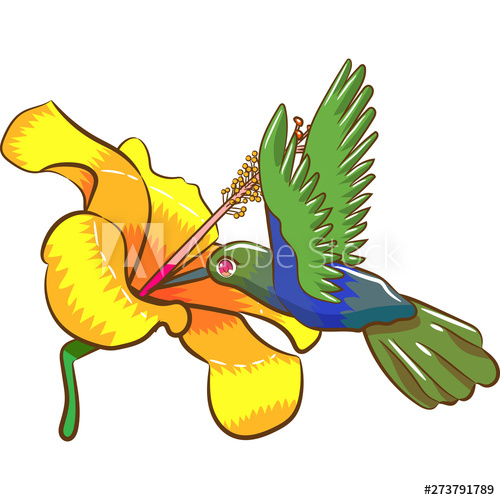 Hummingbird Vector Graphic Design 500x500 Hummingbird Vector Graphic Design