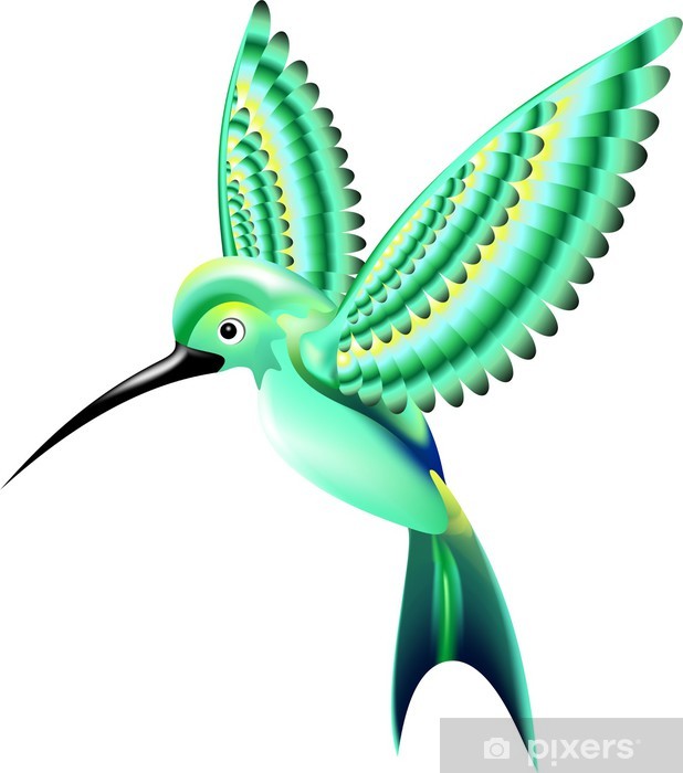 Uccello Colibri Uccello Hummingbird Vector Wall Mural 618x700 Uccello Colibri Uccello Hummingbird Vector Wall Mural