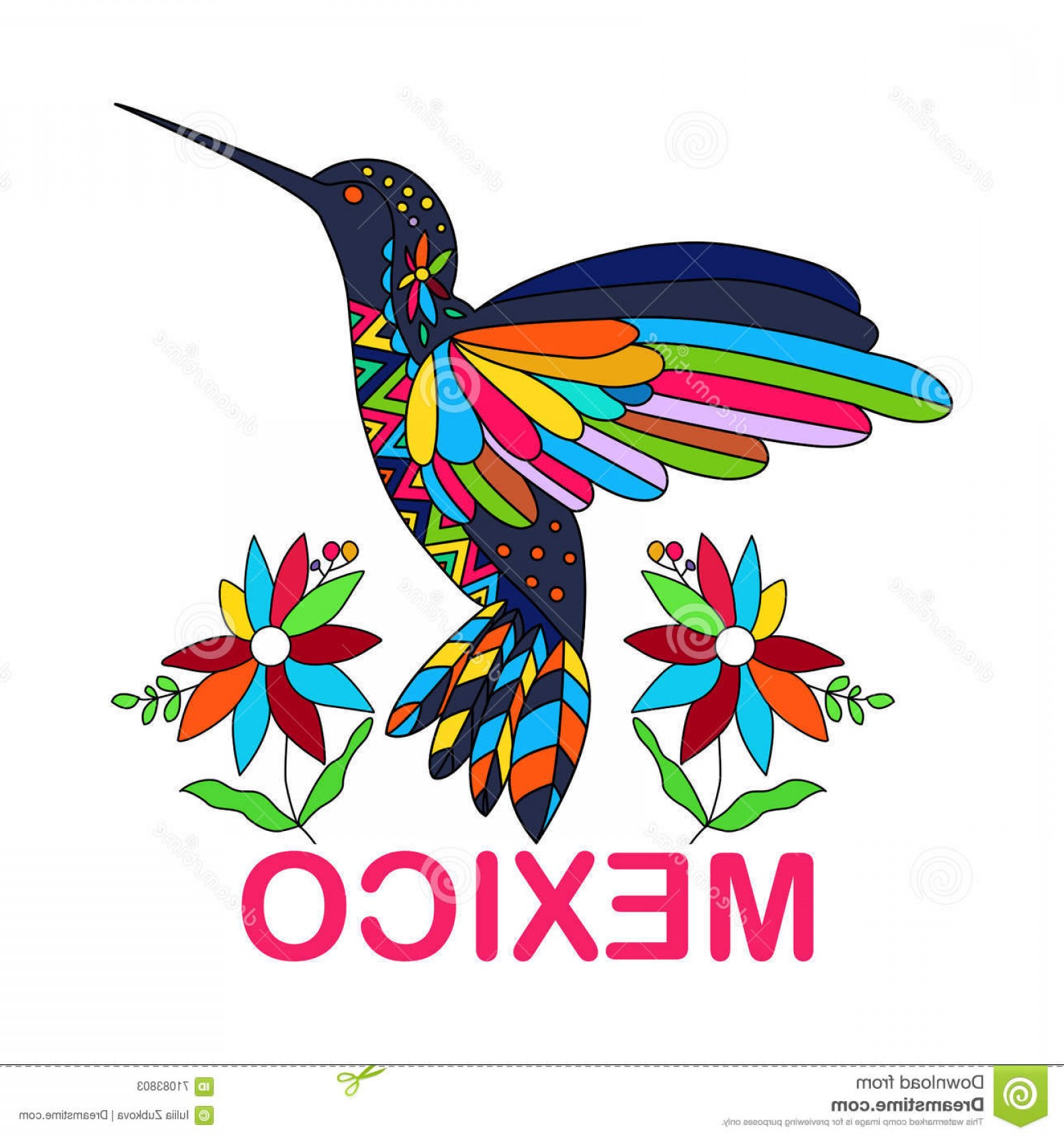 Colorful Hummingbirds Vector Hoodamathrun 1560x1668 Colorful Hummingbirds Vector Hoodamathrun