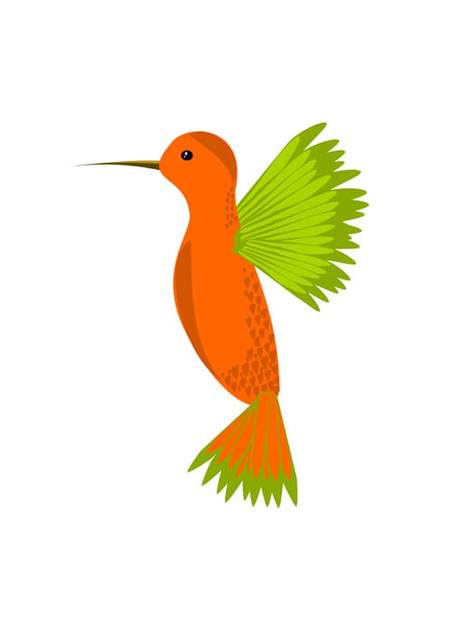 Cute Hummingbird Vector Free Graphics Uihere 500x692 Cute Hummingbird Vector Free Graphics Uihere