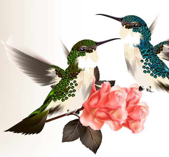 Hand Drawn Hummingbird Vector Free Vector In Adobe Illustrator 567x526 Hand Drawn Hummingbird Vector Free Vector In Adobe Illustrator
