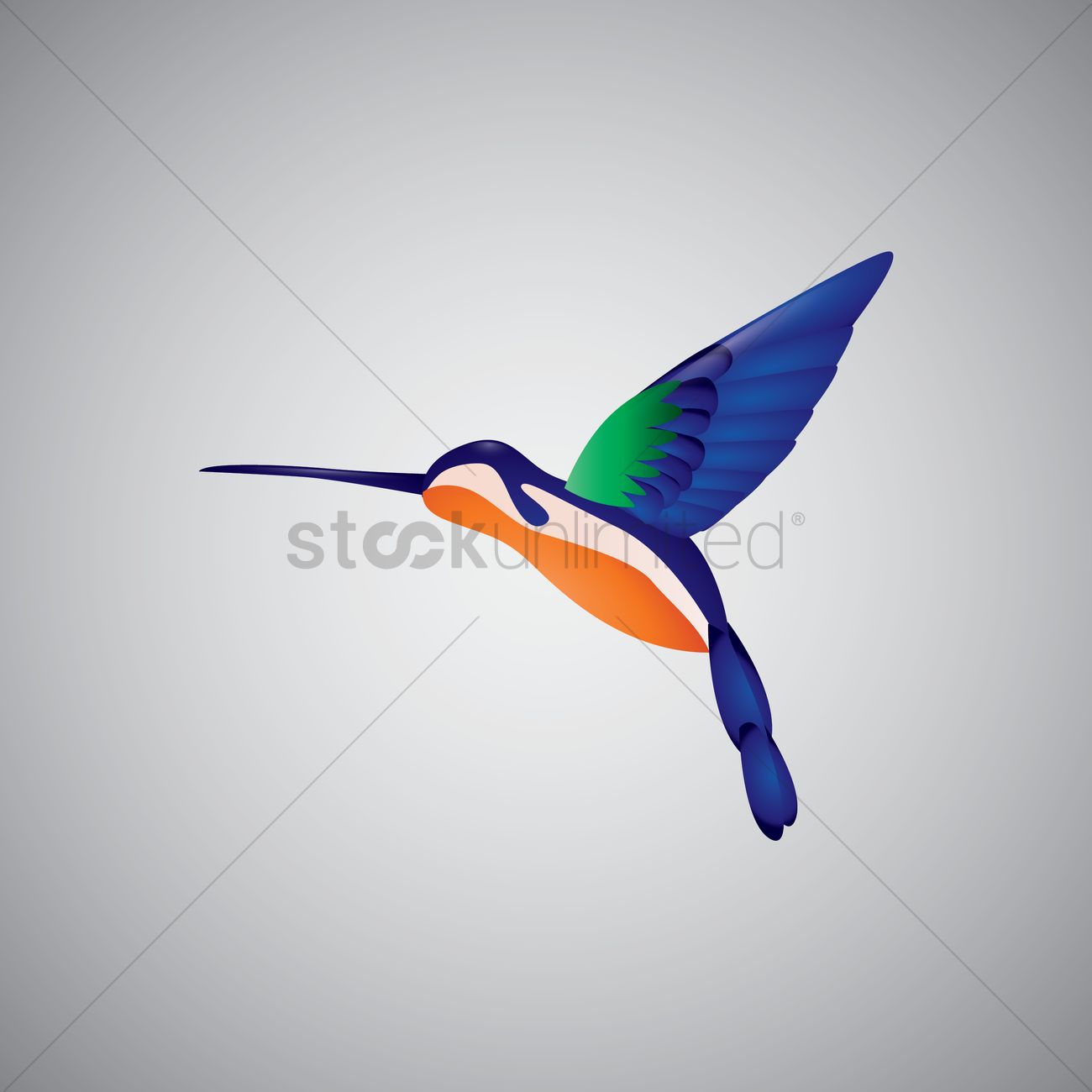 1300x1300 Free Hummingbird Vector Image